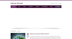 Desktop Screenshot of handedemirel.com